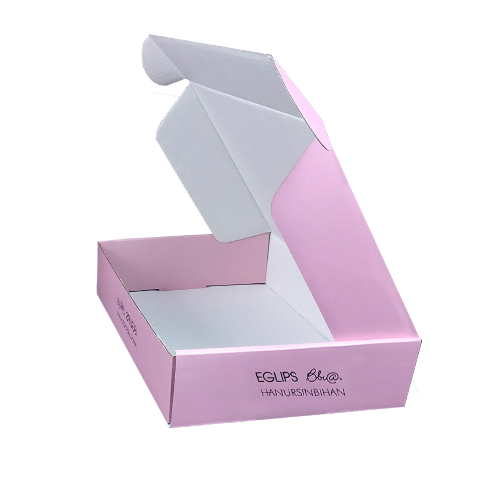 Custom Logo Airplane Boxes Ski - огляд і ціна Luxury Skincare Logo